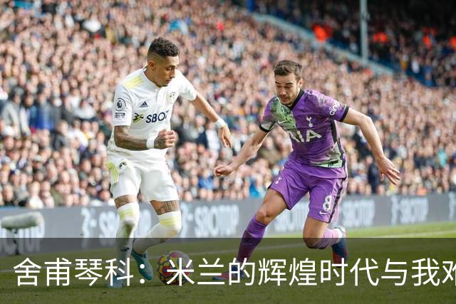 舍甫琴科：米兰的辉煌时代与我难忘的执教经历