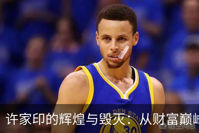 许家印的辉煌与毁灭：从财富巅峰到无期徒刑的转折
